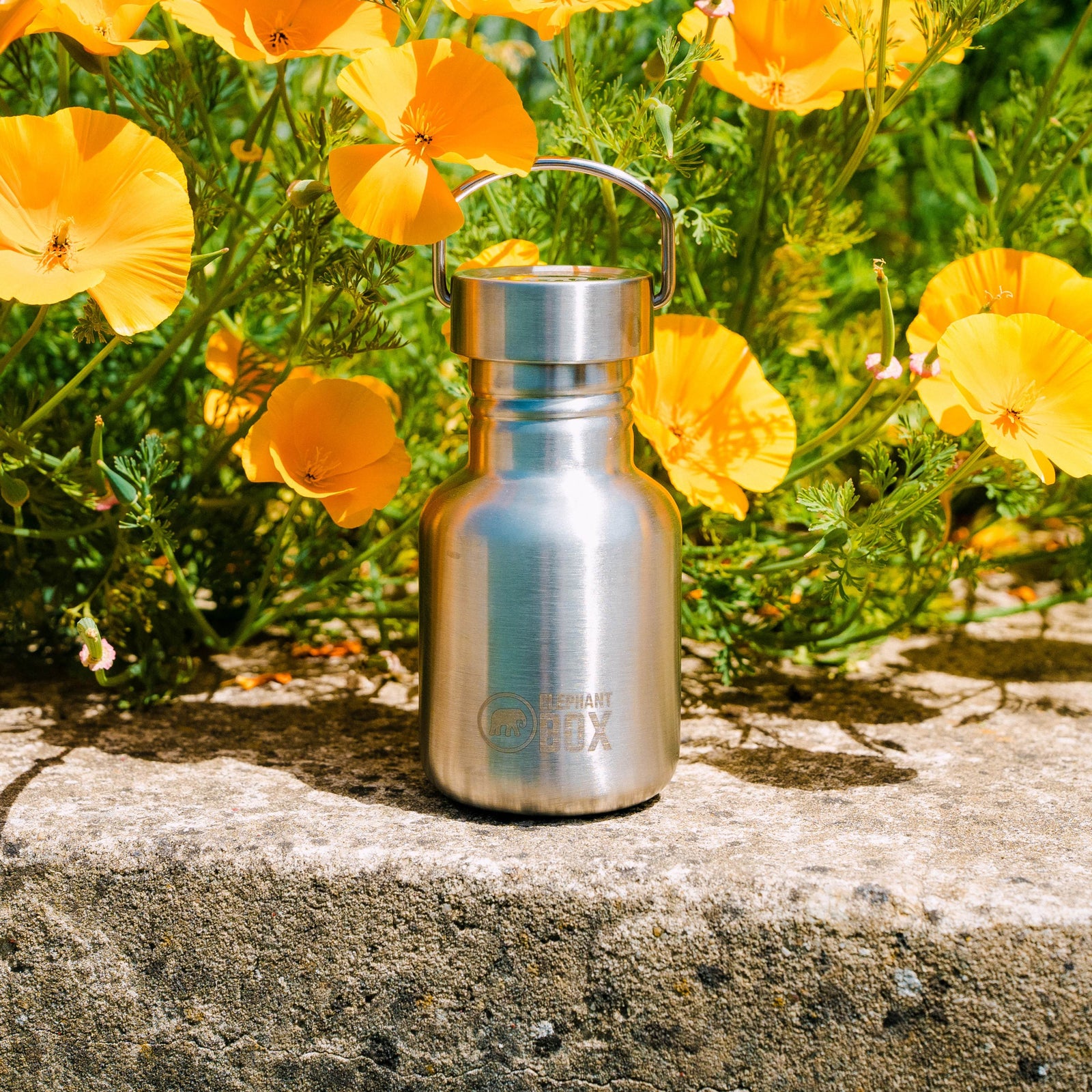 Single Wall Water Bottle - 350ml