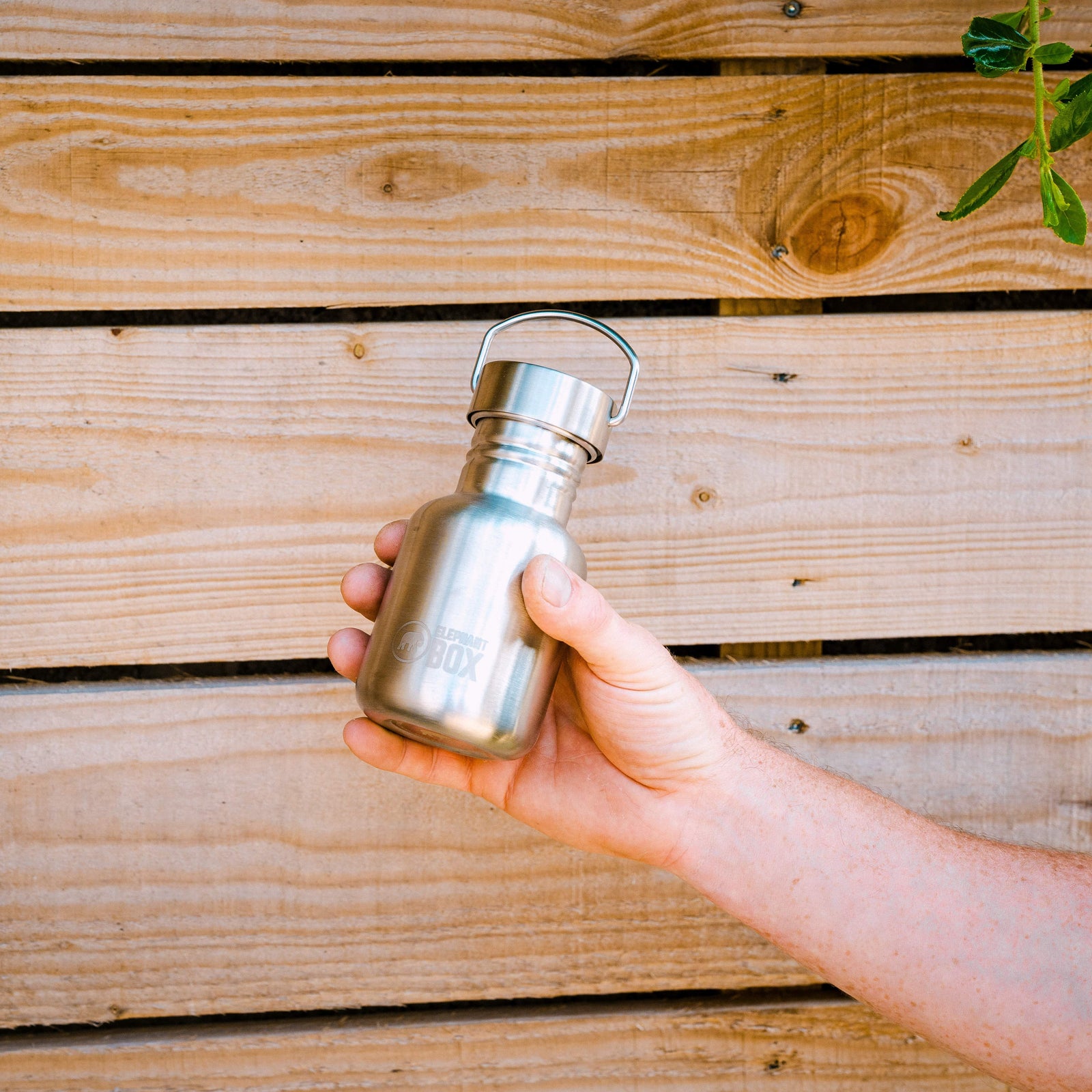 Single Wall Water Bottle - 350ml