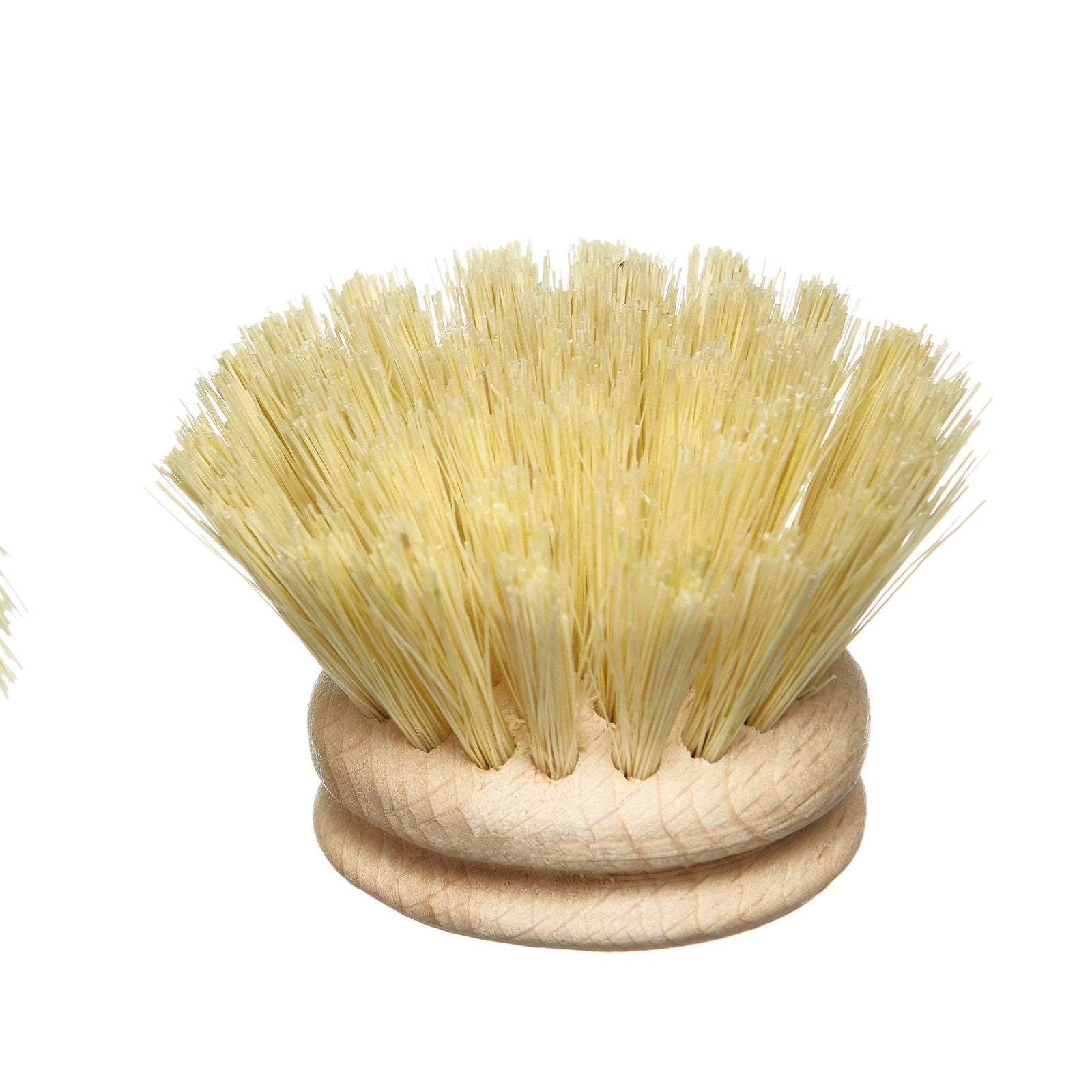 A wooden dish brush head with tampico fibre bristles.
