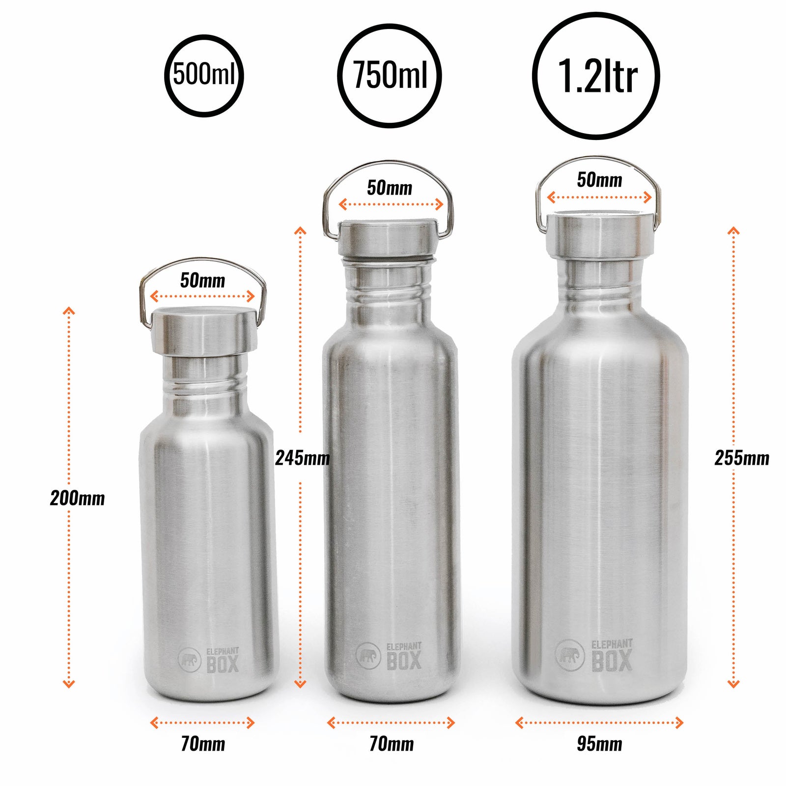 Single-Wall Water Bottle 500ml Water Bottle Elephant Box