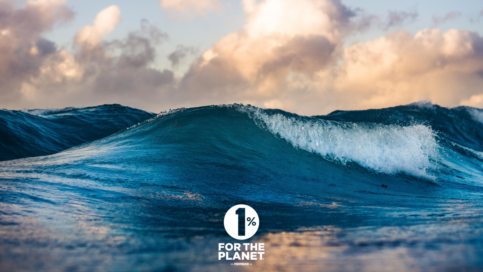 Partners Update for 2023