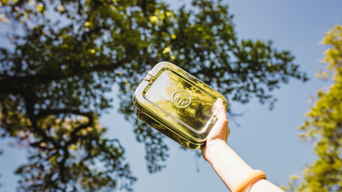 Carbon Cost of Elephant Box