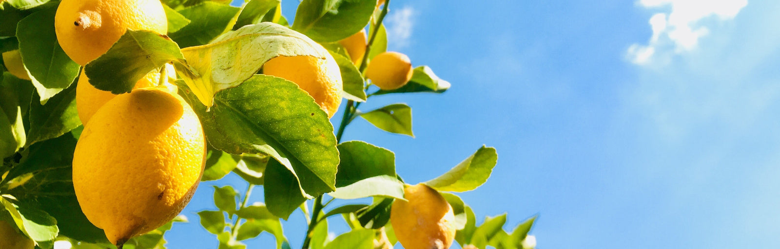 MAKE YOUR SPRING CLEAN MORE GREEN