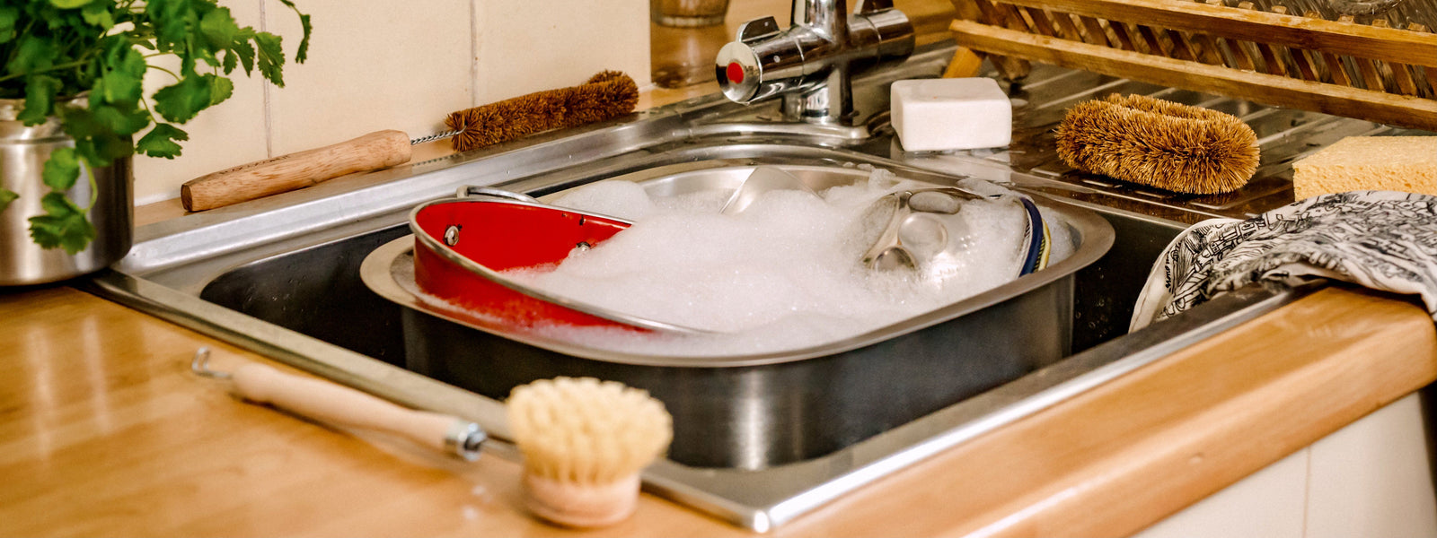 Eco-Friendly Cleaning Products & Supplies