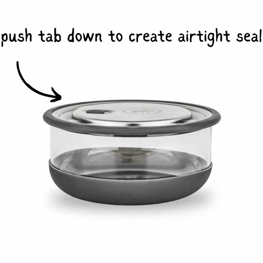 Lunch Bowl - Set of 2