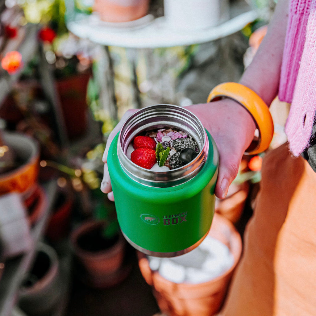 Insulated Food Flask