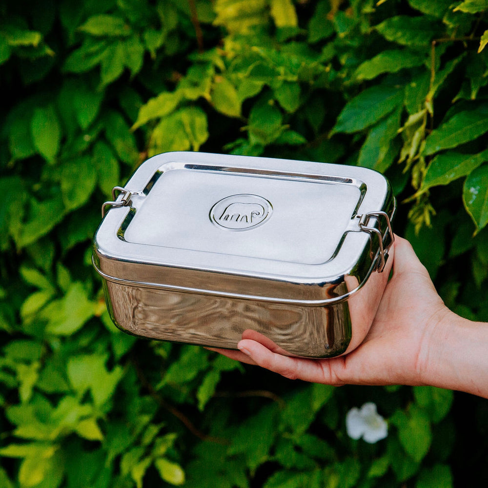 a person holding an Elephant Box 2 litre stainless steel lunchbox with latch clips and an embossed elephant logo against a green background. 