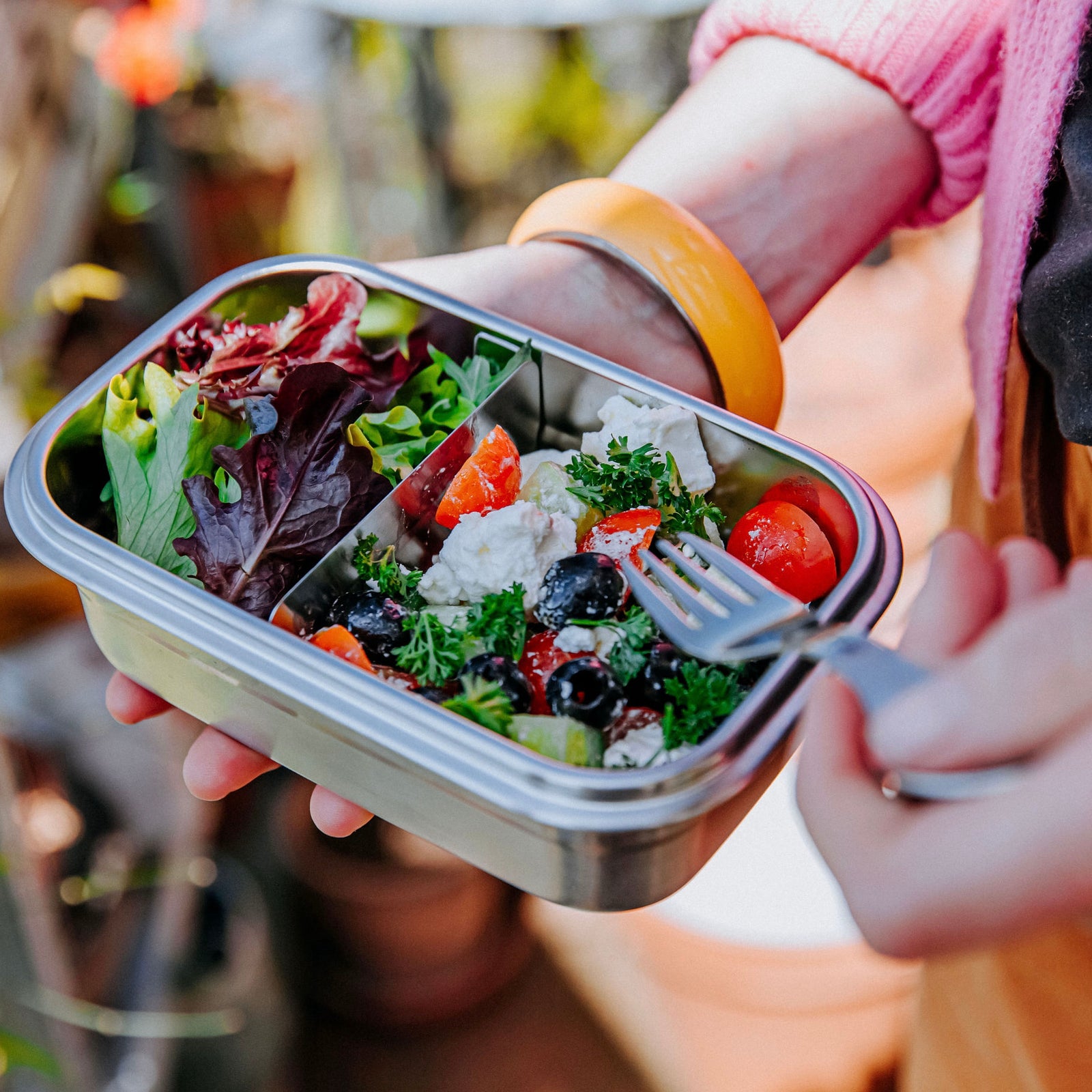 Elephant Box Lunchbox With Salad Inside