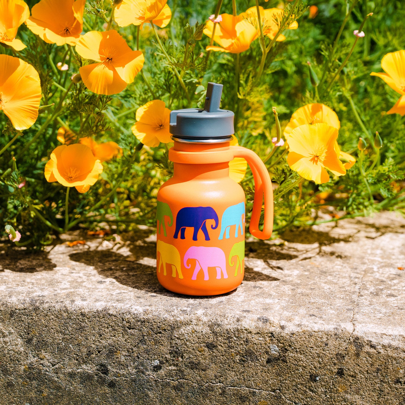 Colorful kids water bottle with elephant design on a white background