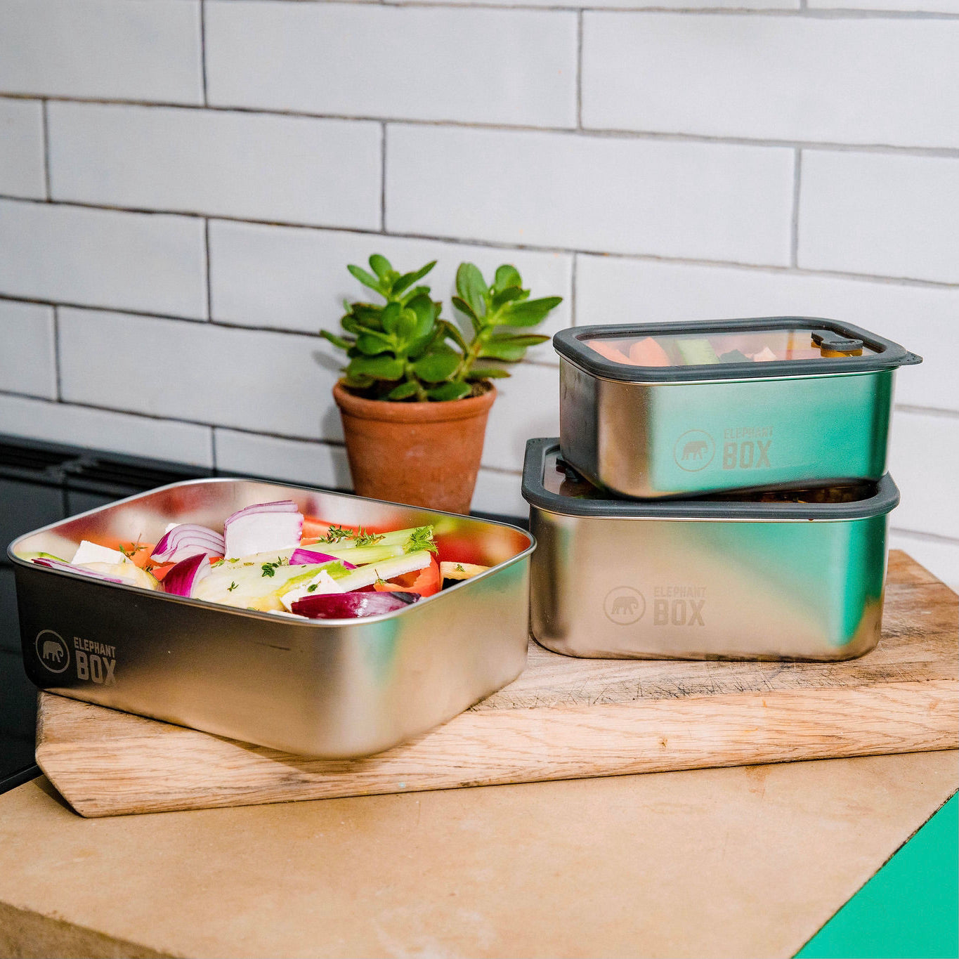 Prep & Store Food Containers - Set of 3