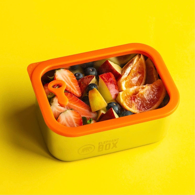 A small-sized 1 litre capacity brushed steel food storage container with a glass lid, featuring the 'Elephant Box' brand logo on the front.The box fetures a grey silicone seal around the lid with a vacuum tab for leakproof sealing.