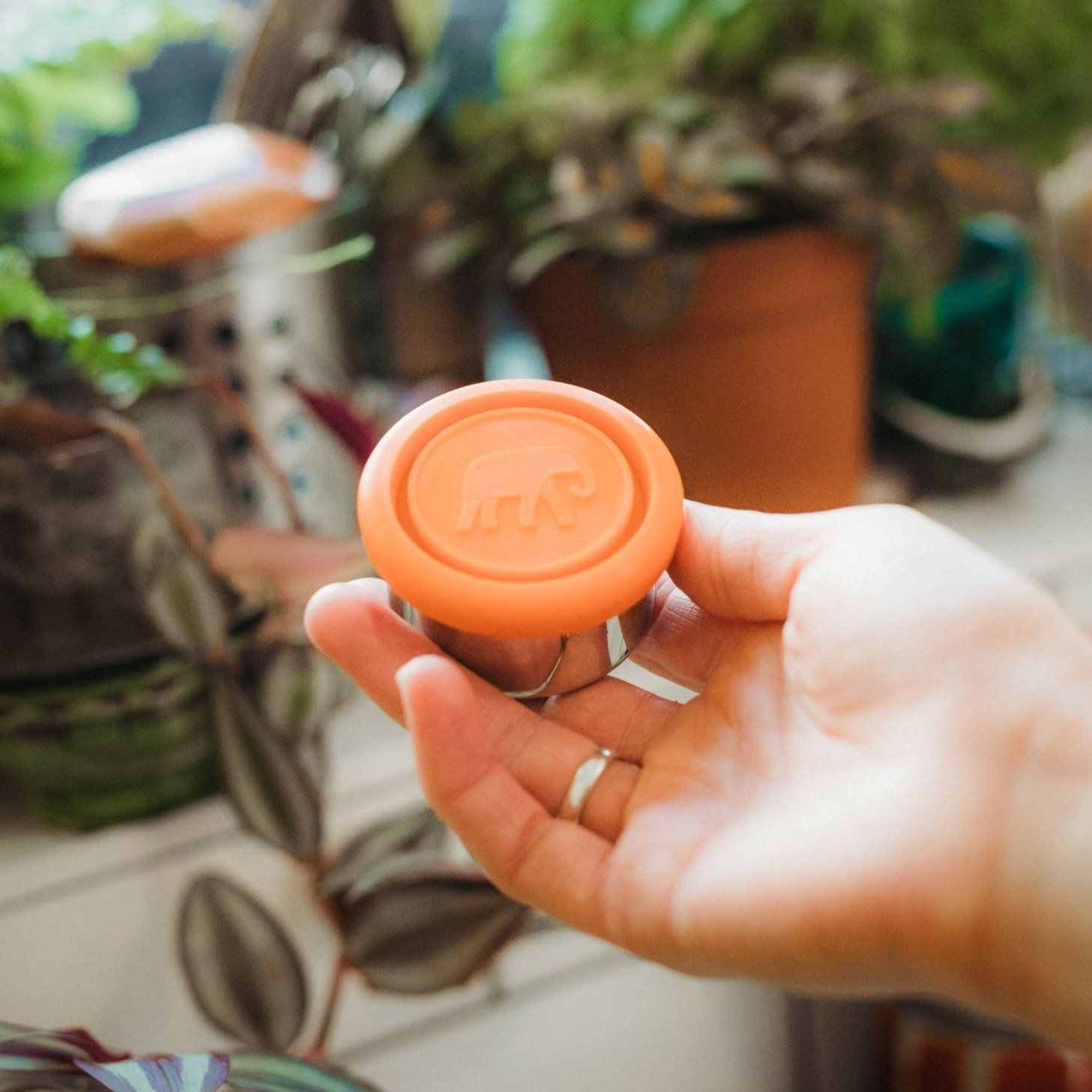 Two elephant box stainless steel dressing pots with orange silicone lids featuring cardboard packaging that has the text 'SEAL & GO' printed on it.