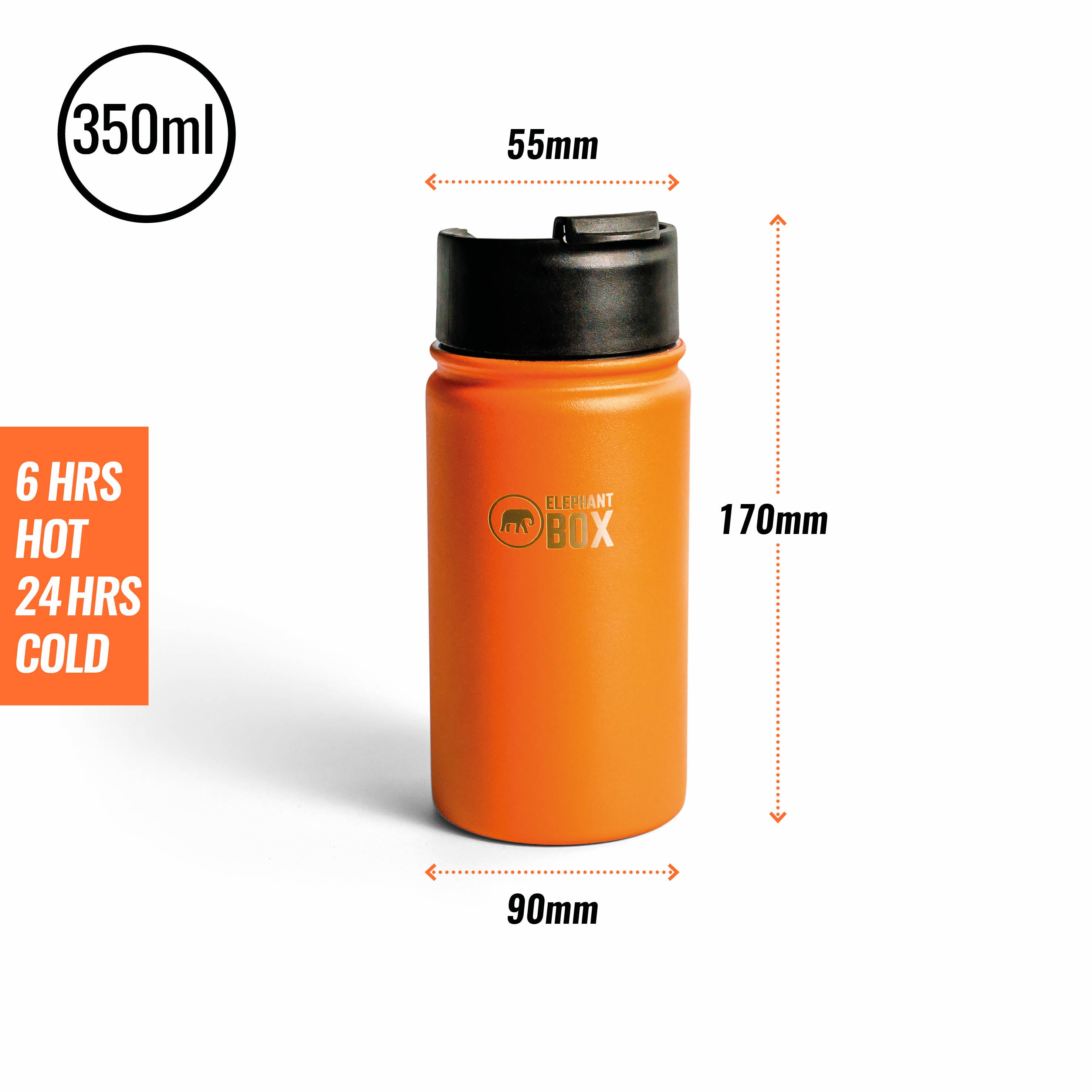 Thermos 32 oz. Icon Stainless Steel Dual Temperature Beverage Bottle