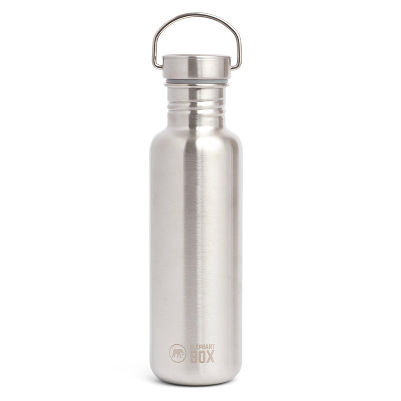 A silver stainless steel single-wall water bottle with a carry loop and elephant box  logo, against a white background.